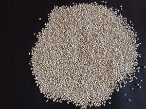 Safflower seed 
