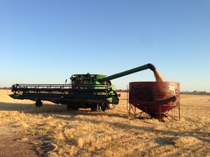 Contract Harvesting Work Wanted