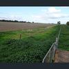 LARGE SCALE IRRIGATION – CROPPING – FODDER – GRAZING 963 ACRES (390 HA) – 5 TITLES. To Be Auctioned Friday 26th June 11am Onsite