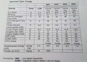 300mt Canola Hay 590kg 8x4x3 Bales + Freight