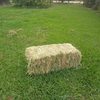 Lucerne For Sale