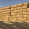 Windrowed and Header Trailed Wheaten Straw 8x4x3 Bales 530+ Kg's