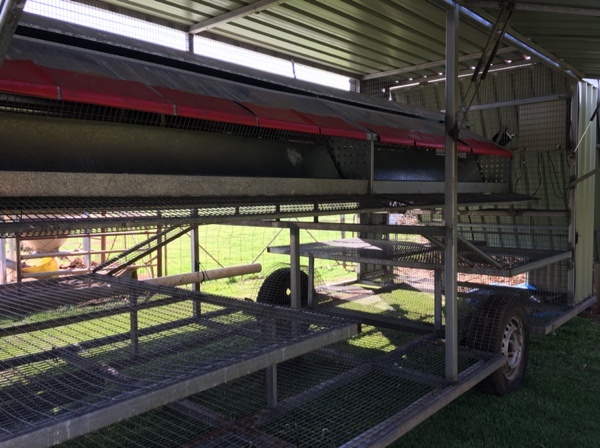  Chicken Egg Laying Caravans for Sale 300  
