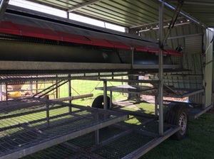  Chicken Egg Laying Caravans for Sale 300  