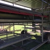  Chicken Egg Laying Caravans for Sale 300  