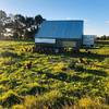 Free Range Pastured Egg Business 