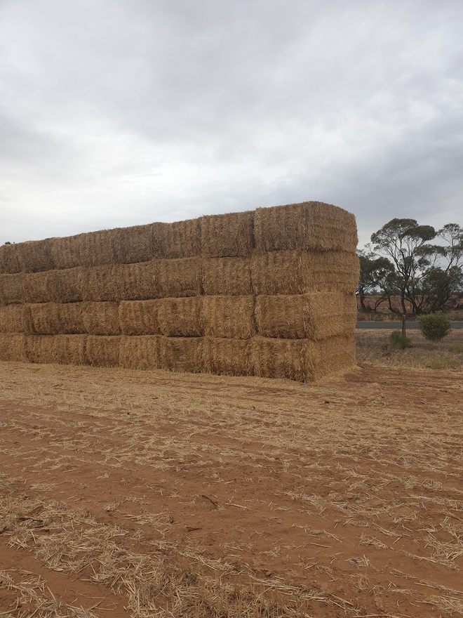 20 x wheaten straw header trailed 8x4x3 bales