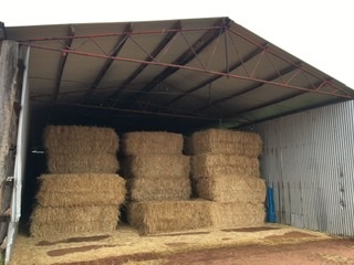 Wheat straw Gilgandra nsw