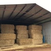 Wheat straw Gilgandra nsw