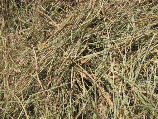 30mt Rice Straw 8x4x3 Bales