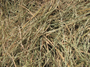 30mt Rice Straw 8x4x3 Bales