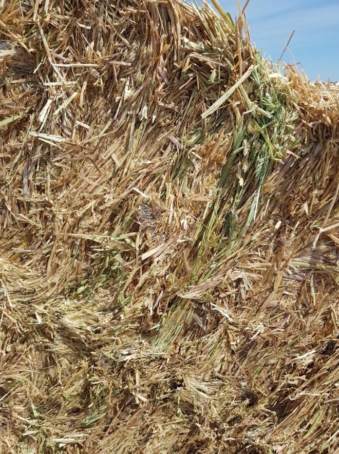 200mt Oaten Hay 550-600kg 8x4x3 Bales 