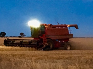 Case IH 1640 for sale