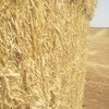 Wheaten Straw: High Density Bales - 500T (45 min from VIC/NSW border)