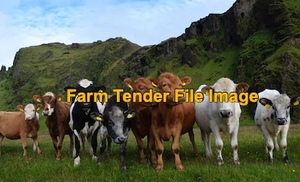 WANTED Beef Cattle 
