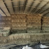 Irrigated Clover and Rye Small Square Bales