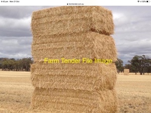 EOI Barley Header Trail
