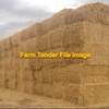 Wheaten Straw:  High Density Bales - 500T (45 min from VIC/NSW border)