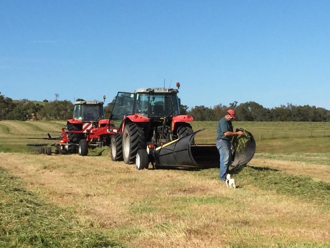 Wanted paddocks for hay production on shares bases