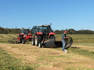 Wanted paddocks for hay production on shares bases