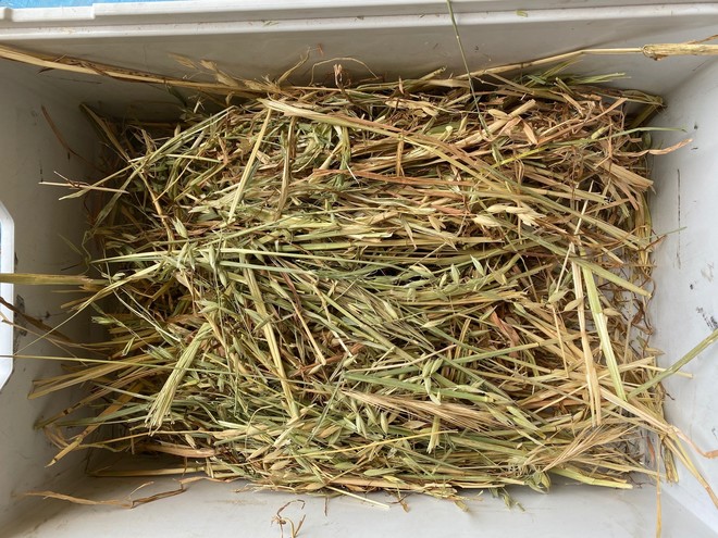 Oaten & Rye Hay 8x4x3 Bales