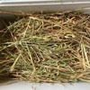 Oaten & Rye Hay 8x4x3 Bales