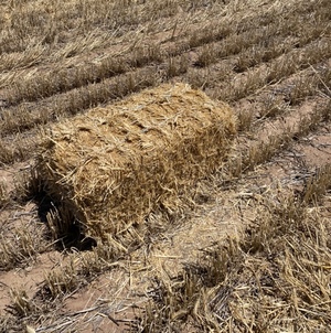 Wheat Straw 