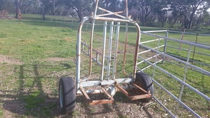 Portable Twin  Milking Head Bail