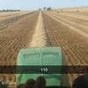1000mt Barley Straw 