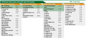 Corn Stubble in 8x4x3 Bales