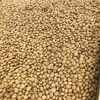 Hurricane Lentils For sale