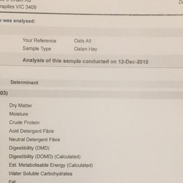 Oaten Hay Big Squares