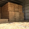 100mt Oaten Hay 650kg 8x4x3 Bales