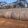 250 Rolls of 2016 Vetch Hay 