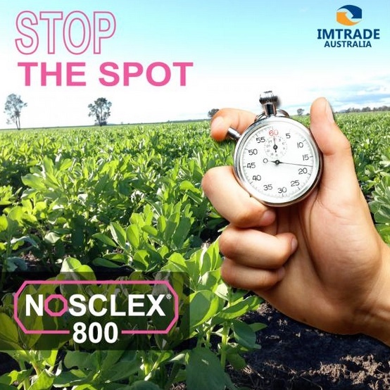 Imtrade Nosclex 800 WG Fungicide 5kg