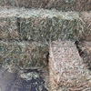 Quality Oaten Hay