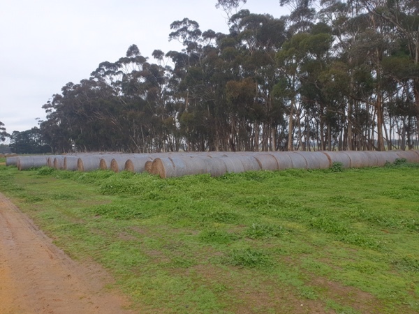 Hay Rolls