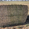 Canola Hay 500-600kg 8x4x4 Bales