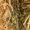 750m/t Oaten Hay 8x4x3 