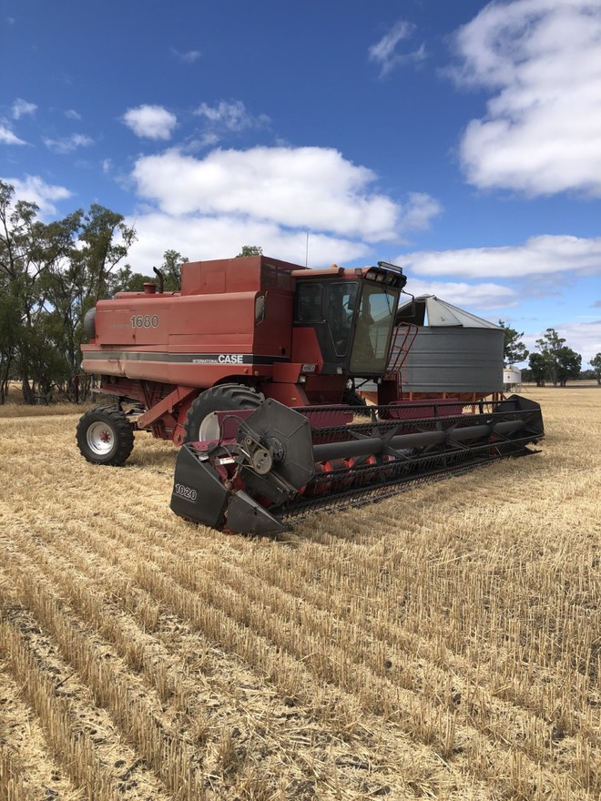 Case IH 1680 Header with 30ft 1020 flex front