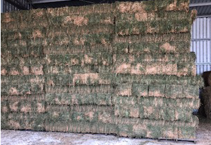 Lucerne Small Squares x 1,600 