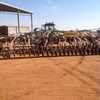62ft Flexi-Coil 820 Seeder Bar 