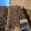 500mt New Season Vetch Hay 650kg 8x4x3 Bales