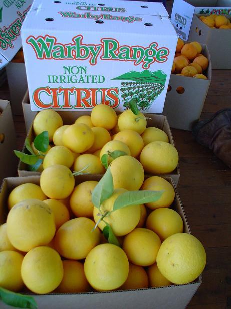 Share Farming Opportunity including Accommodation - Citrus - Wangaratta - Generous Revenue Share offered