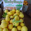 Share Farming Opportunity including Accommodation - Citrus - Wangaratta - Generous Revenue Share offered
