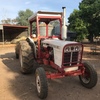 David Brown Tractor 885