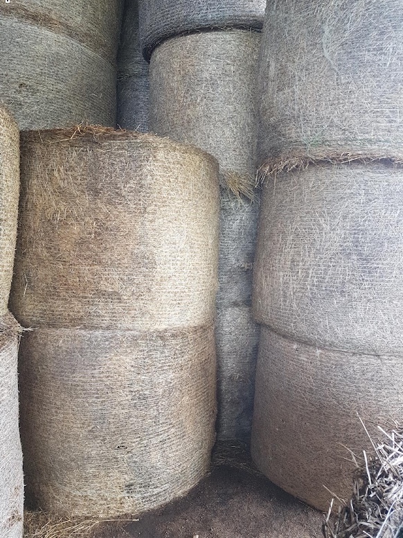 100 Ryegrass & Balansa Clover Hay 400kg 5x4 Bales