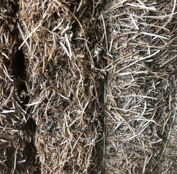 Vetch hay 