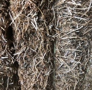 Vetch hay 