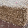 500mt Barley Straw 8x4x3 Bales